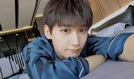 吃瓜爆料邢昭林鹿晗,娱乐圈的甜蜜与争议