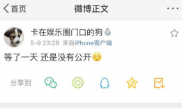 爆料吃瓜不打烊什么意思,网络热词背后的故事与现象