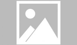 花店老板娘吃瓜爆料,娱乐圈那些不为人知的幕后故事